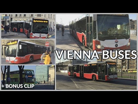 Ônibus em Viena | Ônibus em Viena | Wiener Linien