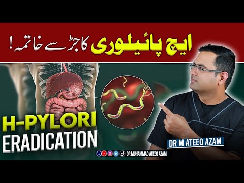 H pylori ka sahi ilaj | H pylori Eradication