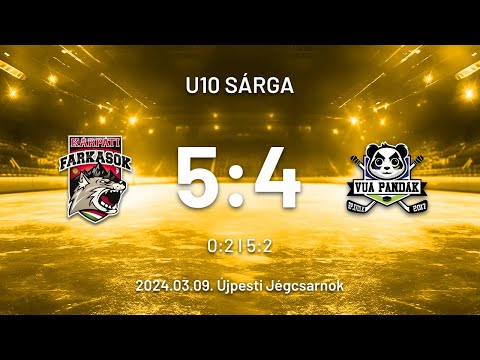 KÁRPÁTI FARKASOK S2 vs VUA PANDÁK  HD 1080p