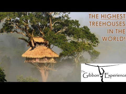 Uncovering the World's Highest Treehouse in Laos: Family Adventure - Gibbon Experience gowatkinsgo
