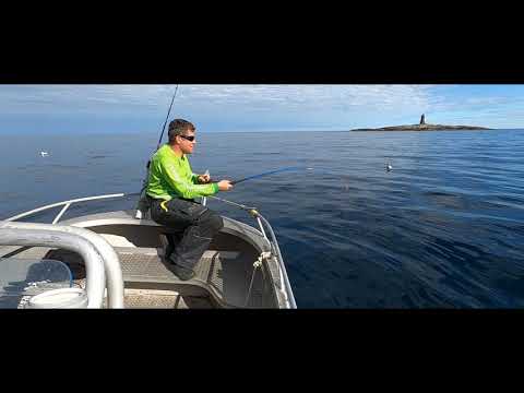 Norwegen 2020  Seter Brygge