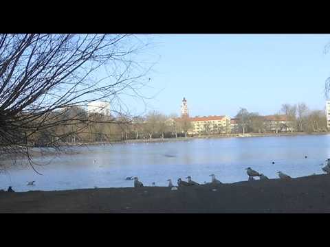 Så blir vädret i helgen