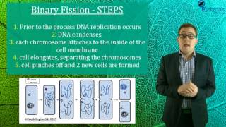 Essentials Concept Video SACE2 Biology - Mitosis