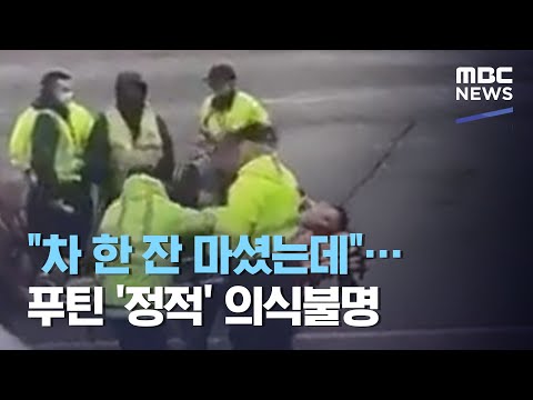 "차 한 잔 마셨는데"…푸틴 '정적' 의식불명