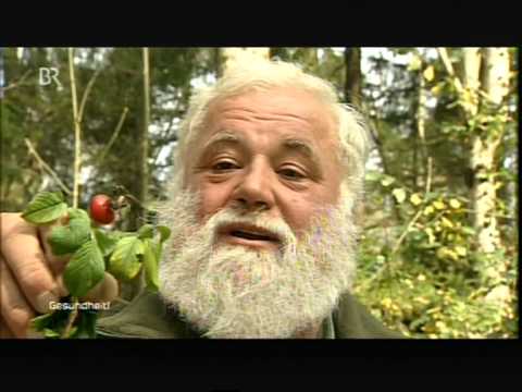 Klinische Symptome von hohem Blutzucker im Blut Ob es möglich ist, Fisch Diabetes zu essen