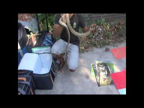 Mikala's Birthday Party clip