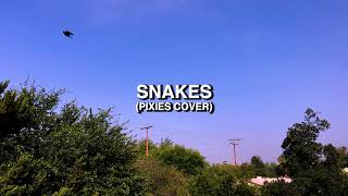 Goon - Snakes (Pixies Cover) (feat. illuminati hotties)