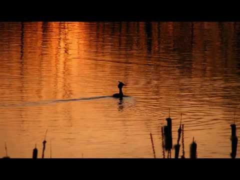 Vavoura Band - Esperinos