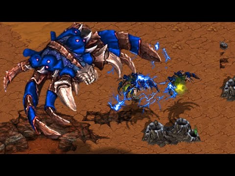 GUARDIANS !?!? vs PROTOSS !?!? | CNSL 7