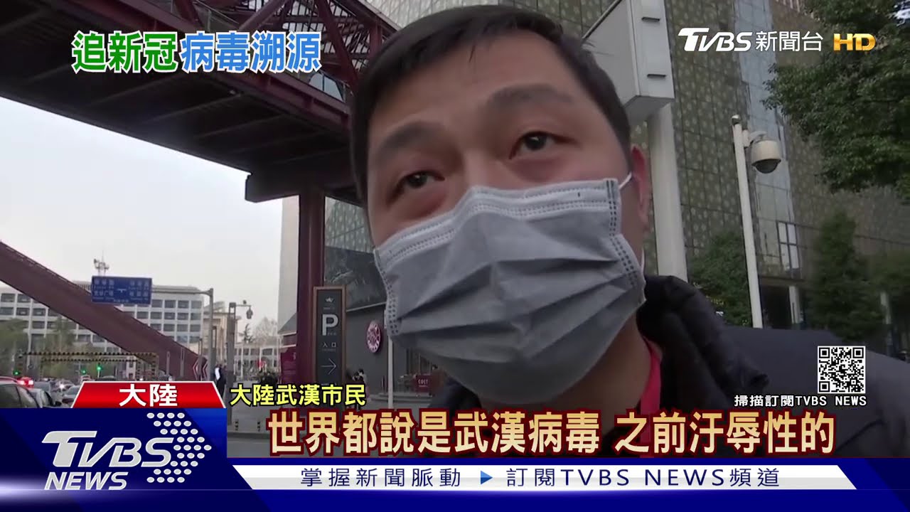WHO武漢疫情溯源Day1 日媒:訪市場、病患
