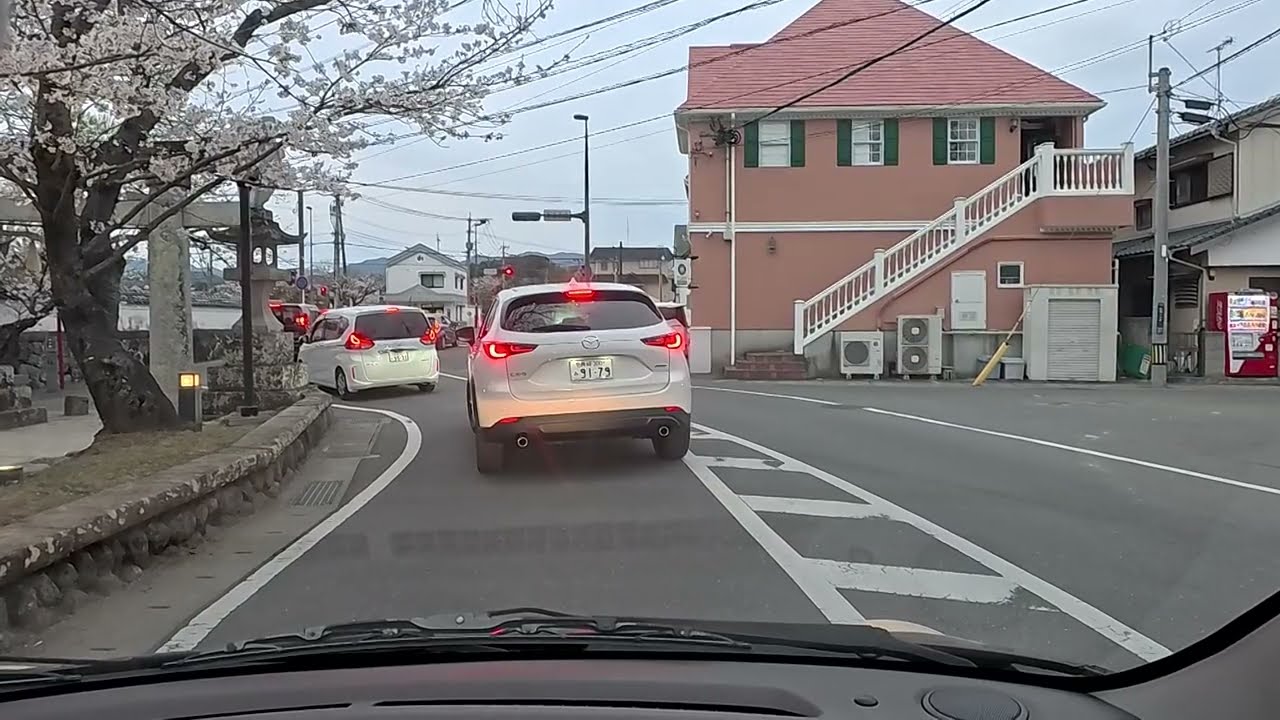 春爛漫🌸大村公園（玖島城跡）ぐるっと一周ドライブ