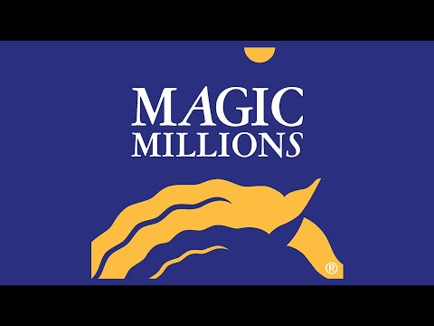 2023 Magic Millions National Weanling Sale Day 2