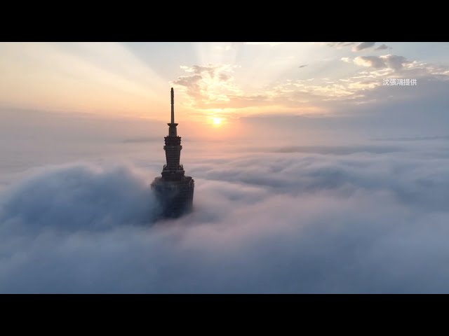 Taipei 101 above the clouds