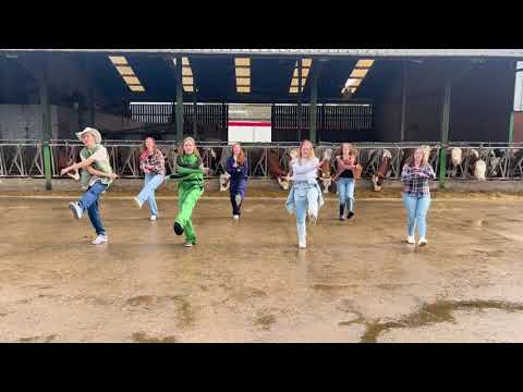 La Vie On Rose - Kazou Brugge Zomerdans 2024