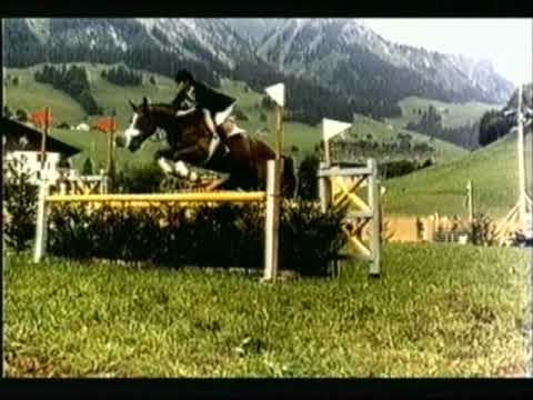 Miguel Bravo Modern Riding Technic who gives a shit