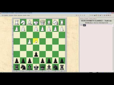 FINALI DI SCACCHI   N°8