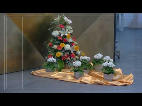 Boža mša *** 22. februara 2026 - 9:00 hodź.