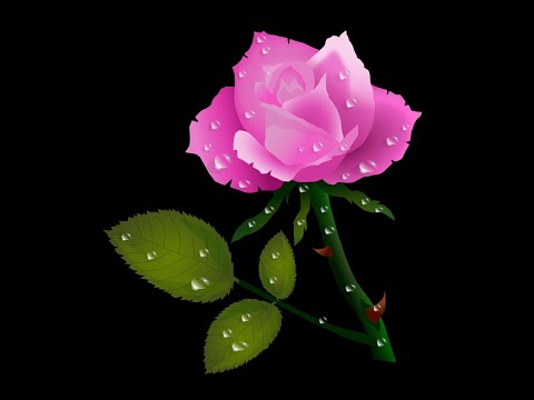 Video thumbnail kwtikCYdgmA