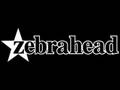 Anthem (Feat; Reel Big Fish [Horns]) - Zebrahead ...
