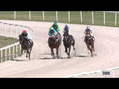 2022.06.04. 03. futam - DR GURU HENDIKEP (III.o.) (szintetikus pálya)