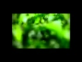 Videos Posted TVC Teh Walini HQ Mp4