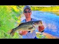 Video Thumbnail for Shore Fishing for Saskatchewan Largemouth Bass