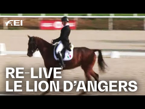 RE-LIVE | Dressage Day 2 - 6 years old | Le Lion d'Angers (FRA) | Eventing | Young Horses