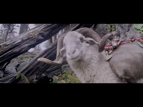 afbeelding Sona Dhwandi Bhed Te Sucha Pahaad