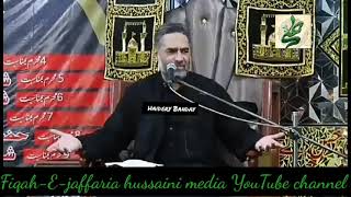 sayeb Hazrat Hur a.s                    Syed Ali Raza Rizvi