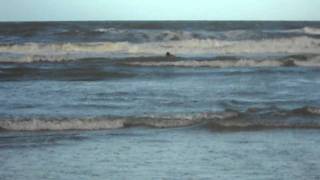 preview picture of video 'CANAVIEIRAS - BA./ EMERSON INICIANDO NO SURF.'