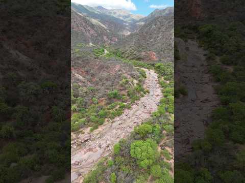 Guachipas Salvaje, Salta