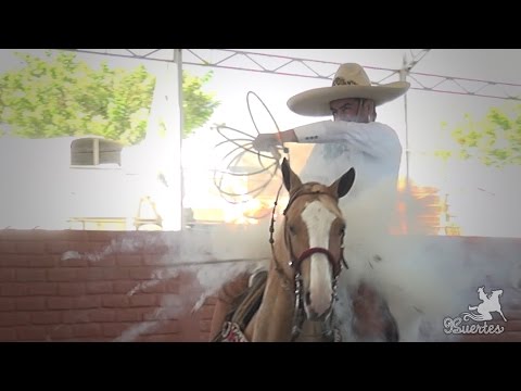 Piales 3 of 3 Enrique Ramirez Perez - Arena Vallarta 2017