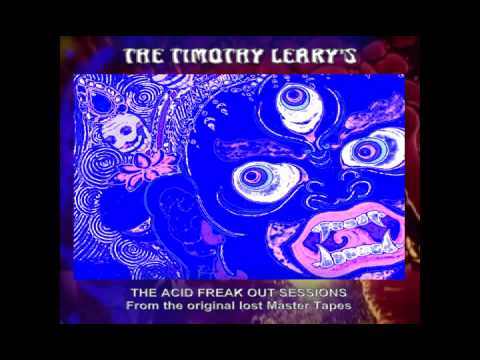 HOUSE OF THE HIGH  - THE TIMOTHY LEARY'S (RARE PSYCH-FREAK-BEAT)