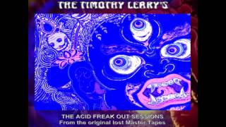 HOUSE OF THE HIGH  - THE TIMOTHY LEARY'S (RARE PSYCH-FREAK-BEAT)