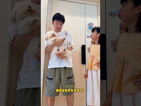 The Cat Got Angry When Its Fish Was Released