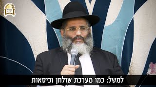 שוויון זכויות בין הגבר לאשה? 👩🏼‍🤝‍👨🏽  רגע של אור עם הרב ישראל אברג'ל