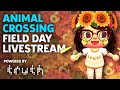 Animal Crossing Field Day To Combat Stress With Persia