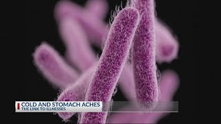 Cold weather linked to stomach illness