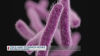 Cold weather linked to stomach illness