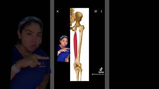 Tratamiento para una ruptura de menisco interno