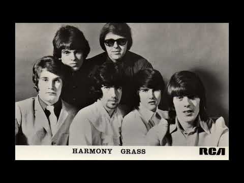 Harmony Grass – Happiness Is Toy Shaped