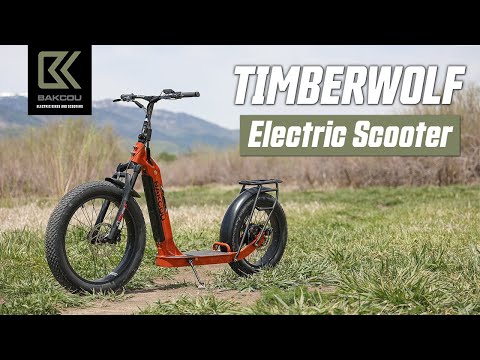 The Timberwolf Electric Scooter Specs and Components