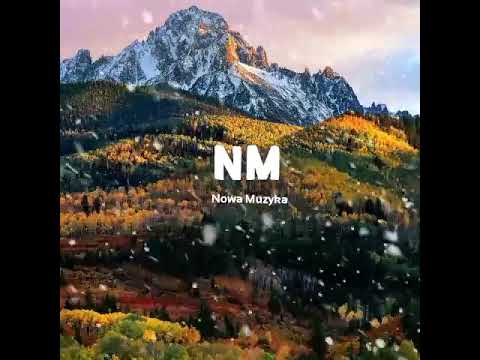 Gverilla / LOAA - Płynę (Rilla Remix)