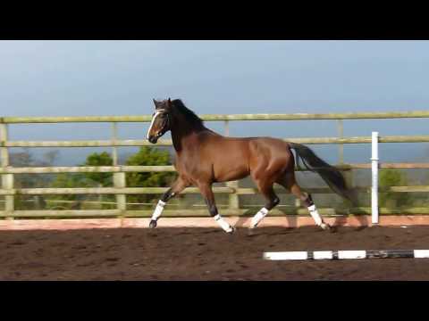 download lagu mp3 mp4 Horz, download mp3 Horz free download mp3, download mp3 Horz