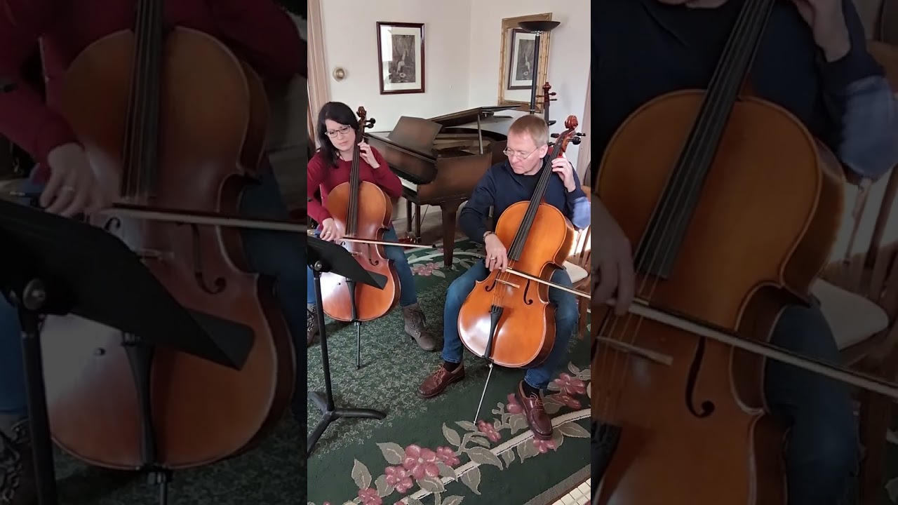 Promotional video thumbnail 5 for You Had Me at Cello