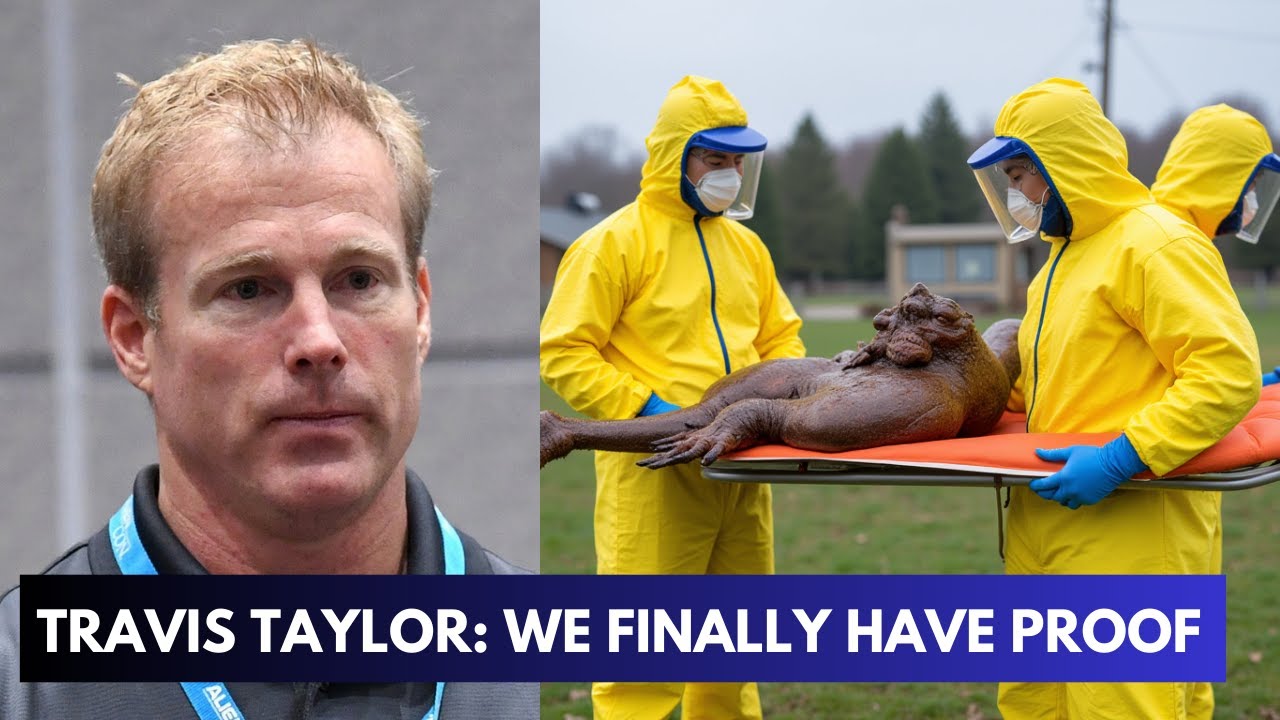 YouTube Thumbnail Downloader FULL HQ IMAGE