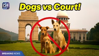 Supreme Court Orders Removal of Stray Dogs in Delhi