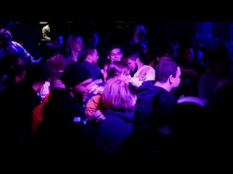 zdechly osa - WLABIRYNCIE