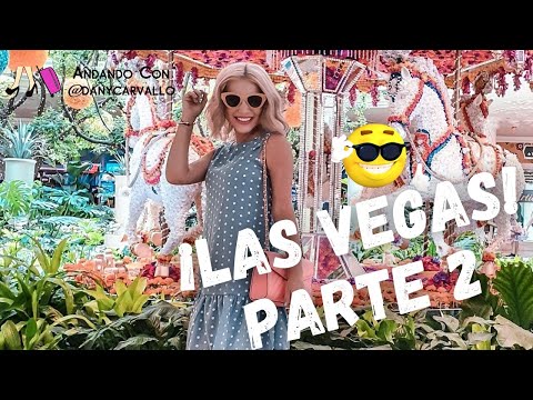 Celebré mi CUMPLEAÑOS en LAS VEGAS 🥳 🎂