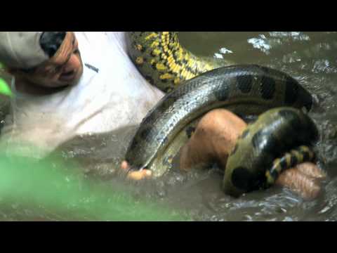 Frank Vs. Anaconda! Perdido na Amazônia: 26/04 20h40